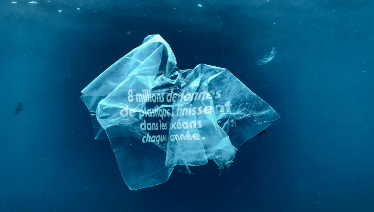 Illustration du projet Plastic Vortex